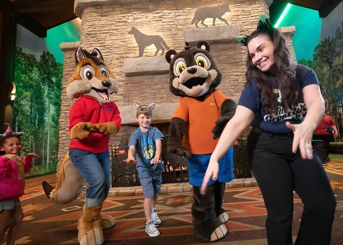 Great Wolf Chicago/gurnee 3* Gurnee