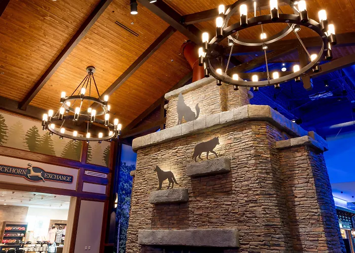 Great Wolf Chicago/gurnee Resort 3*