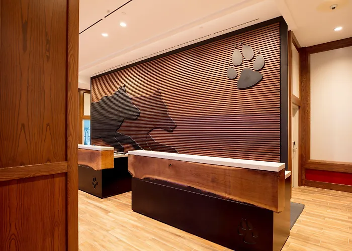 Resort Great Wolf Chicago/gurnee