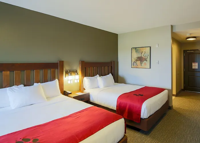 Great Wolf Chicago/gurnee 3* Gurnee