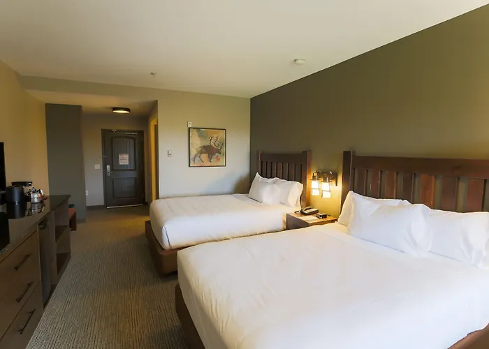 Great Wolf Chicago/gurnee Resort 3*