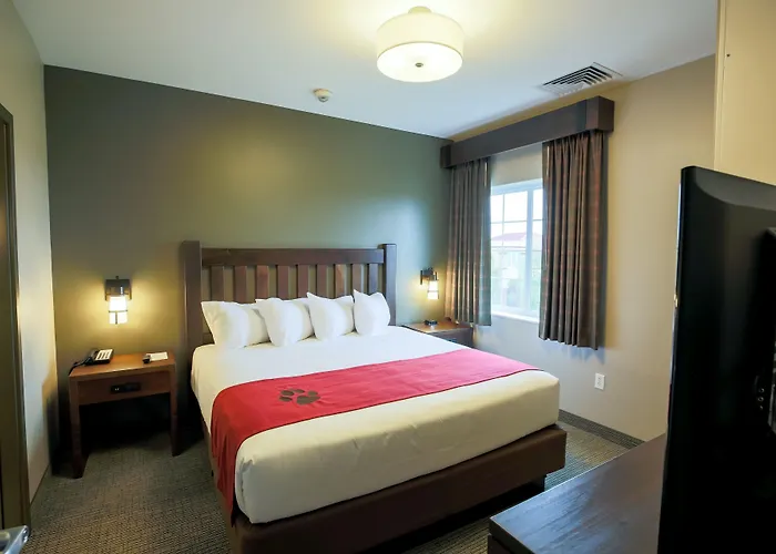 Great Wolf Chicago/gurnee Resort 3*