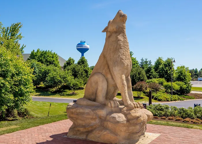 Great Wolf Chicago/gurnee Resort 3*