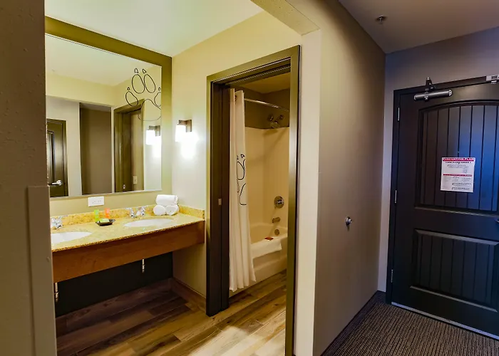Great Wolf Chicago/gurnee 3* Gurnee