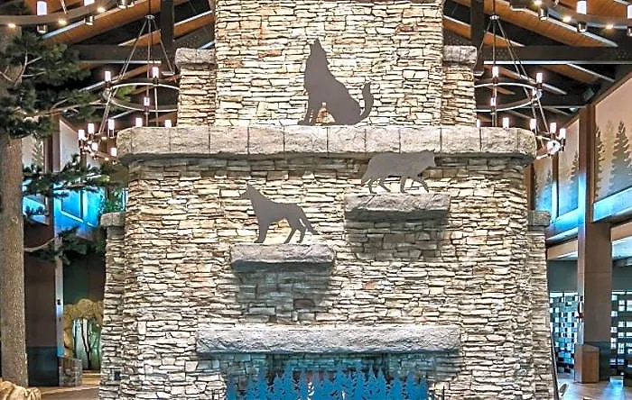 Great Wolf Chicago/gurnee Gurnee