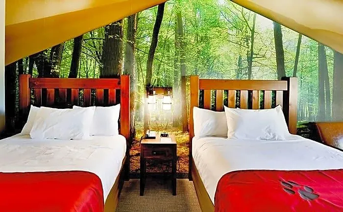 Great Wolf Chicago/gurnee Resort 3*