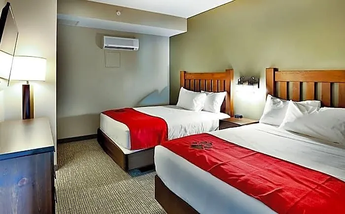 Great Wolf Chicago/gurnee Resort Gurnee