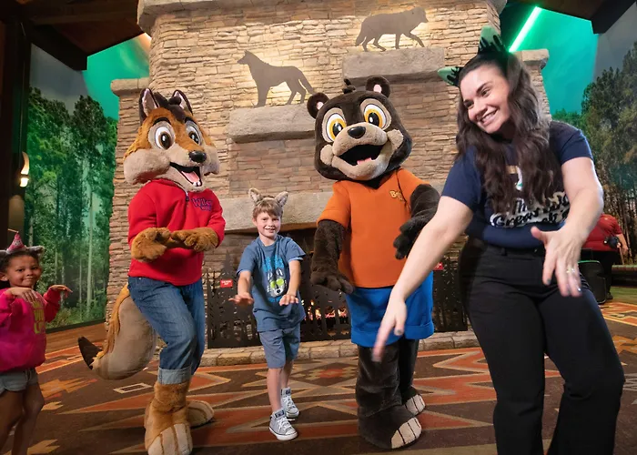 Great Wolf Chicago/gurnee Resort