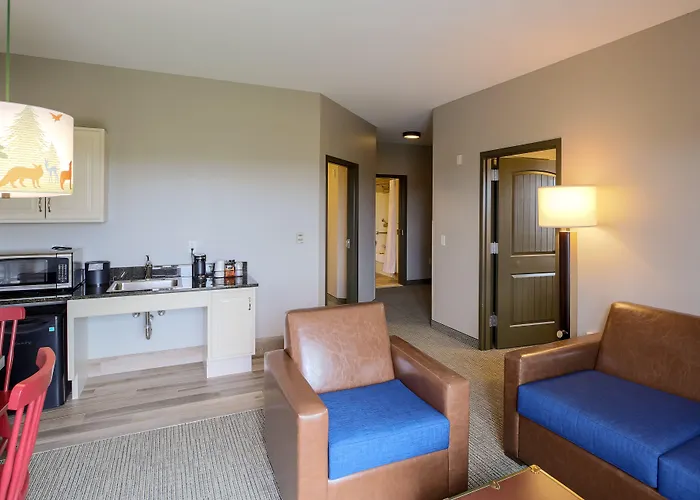 Great Wolf Chicago/gurnee 3*